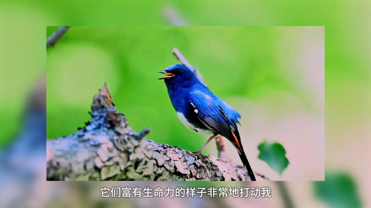 图片 3.png